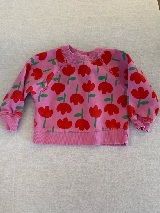 Hanna Andersson Other - Hanna Andersson French Terry Sweatshirt